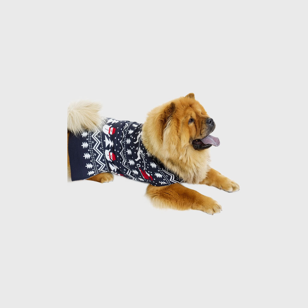 Stilvolle Hunde-Weihnachtspullover